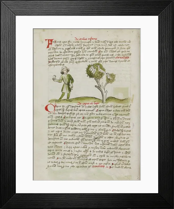 Framed Print : A Man Throwing at Birds Perched in a Tree; Fables, third quarter of 15th century. Creator: Unknown Framed Print : A Man Throwing at Birds Perched in a Tree; Fables, third quarter of 15th century. Creator: Unknown