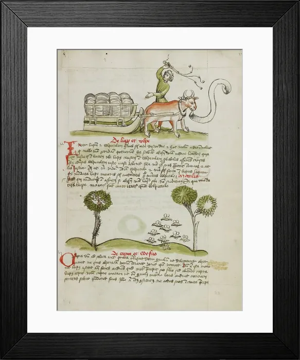 Framed Print : A Farmer Driving an Ox and Wagon: Swarms of Insects; Fables, third quarter of 15th century. Creator: Unknown Framed Print : A Farmer Driving an Ox and Wagon: Swarms of Insects; Fables, third quarter of 15th century. Creator: Unknown