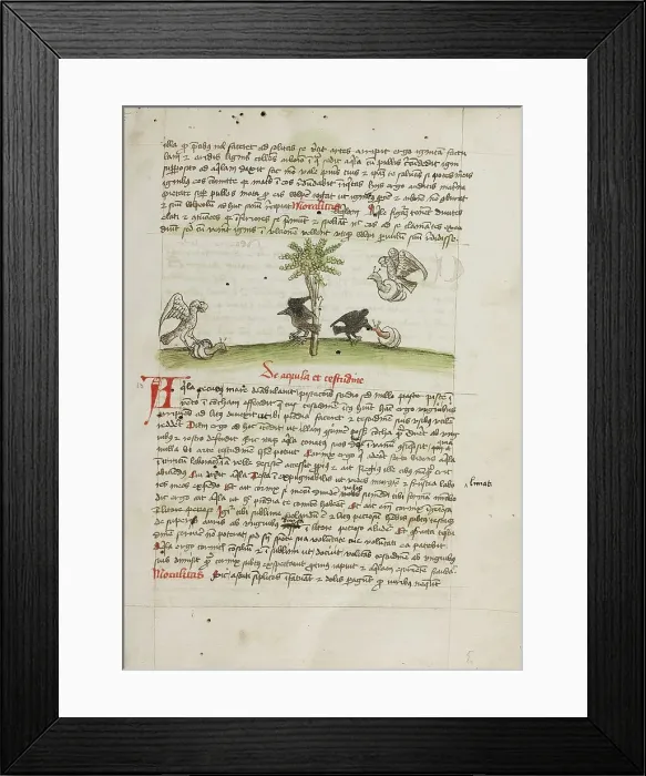 Framed Print : An Eagle Seizing a Snail: A Crow Pecking at a Snail; Fables, third quarter of 15th century. Creator: Unknown Framed Print : An Eagle Seizing a Snail: A Crow Pecking at a Snail; Fables, third quarter of 15th century. Creator: Unknown
