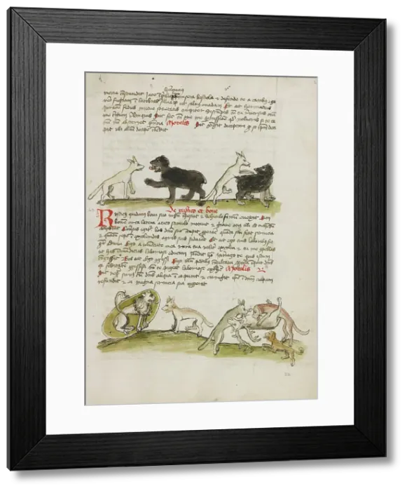 Framed Print : A Fox and a Bear: A Fox Attacking a Bear: A Lion in its Den and... third quarter of 15th century. Creator: Unknown Framed Print : A Fox and a Bear: A Fox Attacking a Bear: A Lion in its Den and... third quarter of 15th century. Creator: Unknown