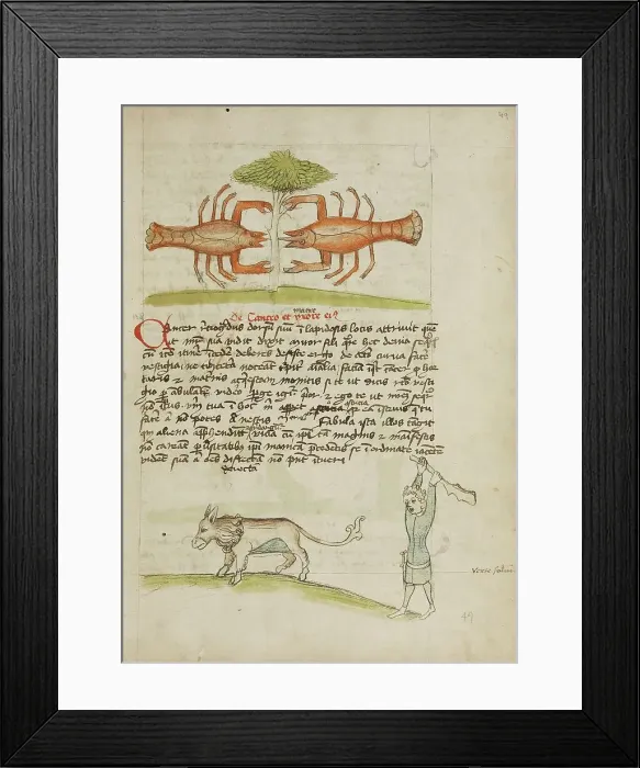 Framed Print : A Crab and Its Mother: A Man Hitting a Donkey; Fables, third quarter of 15th century. Creator: Unknown Framed Print : A Crab and Its Mother: A Man Hitting a Donkey; Fables, third quarter of 15th century. Creator: Unknown