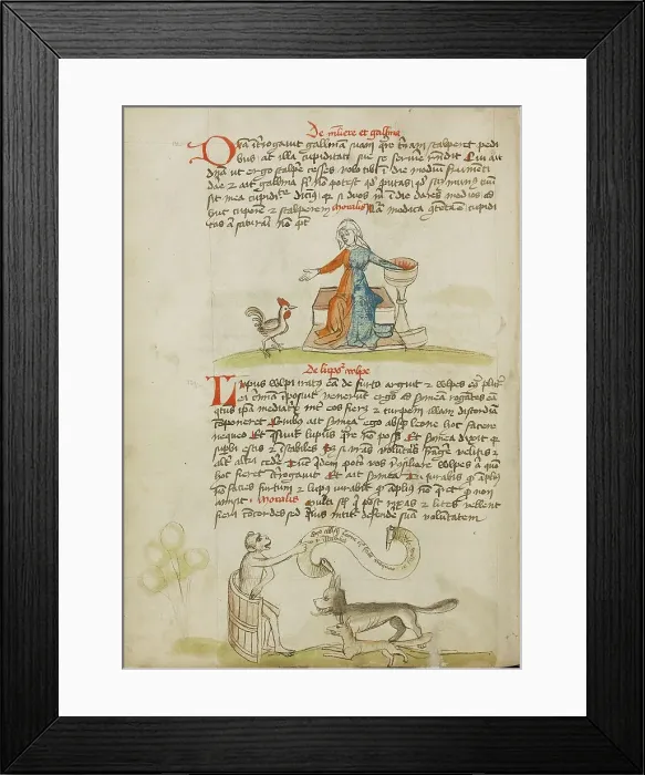 Framed Print : A Woman with a Vessel and a Hen: A Monkey Instructing a Fox... third quarter of 15th century. Creator: Unknown Framed Print : A Woman with a Vessel and a Hen: A Monkey Instructing a Fox... third quarter of 15th century. Creator: Unknown