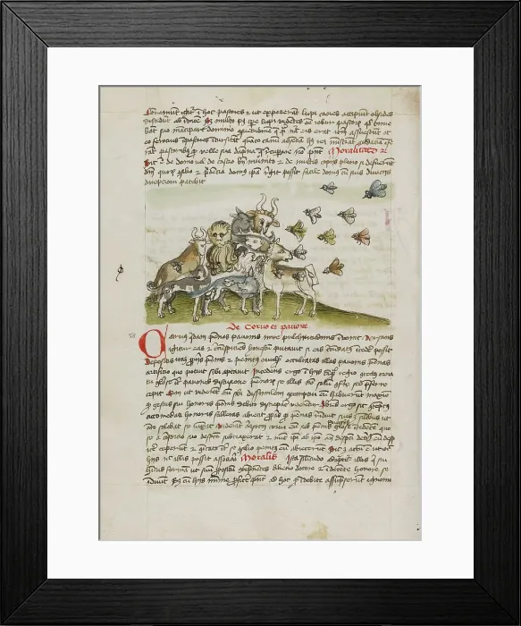 Framed Print : A Swarm of Insects Flying above a Group of Animals; Fables, third quarter of 15th century. Creator: Unknown Framed Print : A Swarm of Insects Flying above a Group of Animals; Fables, third quarter of 15th century. Creator: Unknown