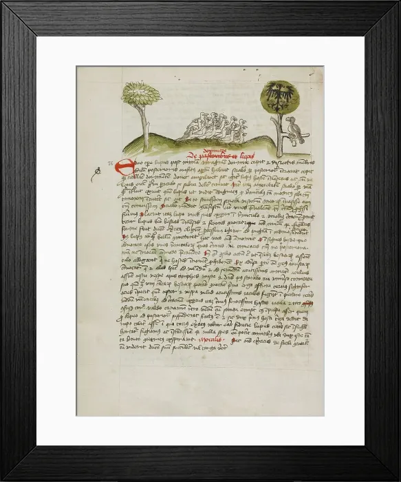 Framed Print : A Flock of Birds under a Tree including a Crowned Eagle with a... third quarter of 15th century. Creator: Unknown Framed Print : A Flock of Birds under a Tree including a Crowned Eagle with a... third quarter of 15th century. Creator: Unknown