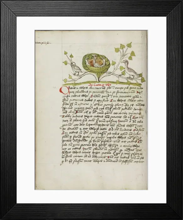 Framed Print : An Owlet and a Goshawk in Some Branches; Fables, third quarter of 15th century. Creator: Unknown Framed Print : An Owlet and a Goshawk in Some Branches; Fables, third quarter of 15th century. Creator: Unknown