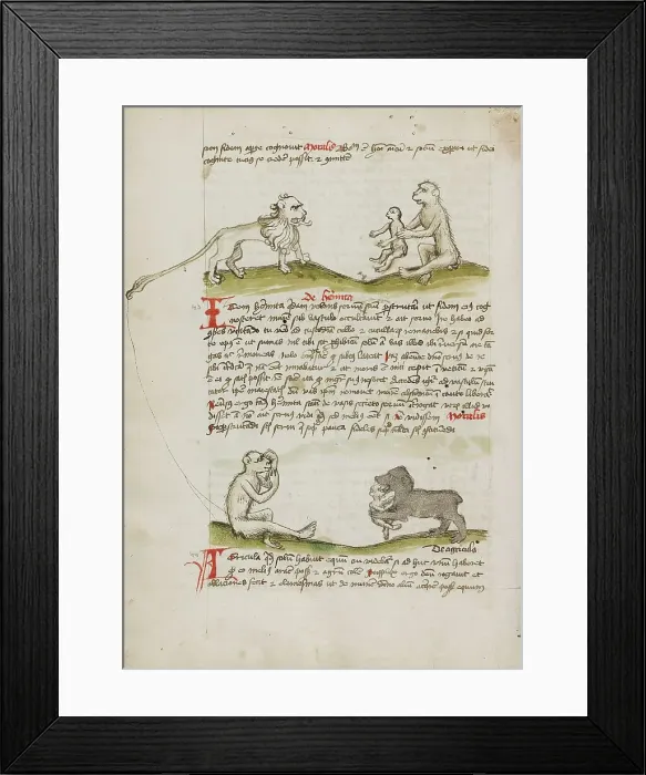 Framed Print : A Lion with a Monkey and his Young: A Monkey: A Bear Eating a... third quarter of 15th century. Creator: Unknown Framed Print : A Lion with a Monkey and his Young: A Monkey: A Bear Eating a... third quarter of 15th century. Creator: Unknown