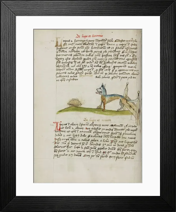 Framed Print : A Hedgehog and a Wolf; Fables, third quarter of 15th century. Creator: Unknown Framed Print : A Hedgehog and a Wolf; Fables, third quarter of 15th century. Creator: Unknown