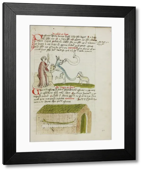 Framed Print : A Cleric Instructing a Wolf with a Rod: A Snake in a House; Fables, third quarter of 15th century. Creator: Unknown Framed Print : A Cleric Instructing a Wolf with a Rod: A Snake in a House; Fables, third quarter of 15th century. Creator: Unknown