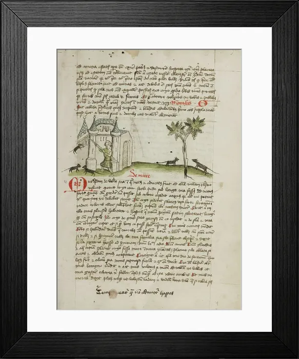 Framed Print : A Man Chasing Mice Away from his House; Fables, third quarter of 15th century. Creator: Unknown Framed Print : A Man Chasing Mice Away from his House; Fables, third quarter of 15th century. Creator: Unknown