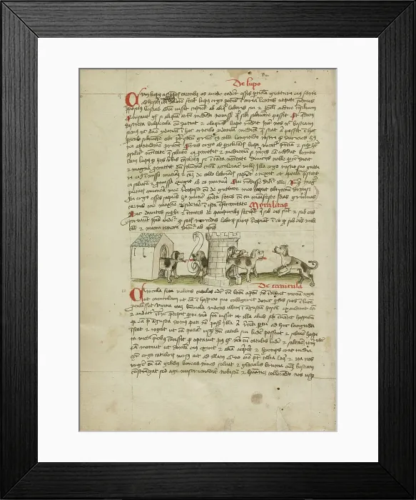 Framed Print : Two Dogs Barking and Cubs; Fables, third quarter of 15th century. Creator: Unknown Framed Print : Two Dogs Barking and Cubs; Fables, third quarter of 15th century. Creator: Unknown