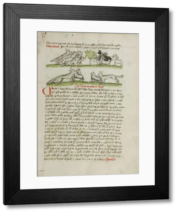 Framed Print : A Herd of Wolves Attacking a Flock of Rams; Fables, third quarter of 15th century. Creator: Unknown Framed Print : A Herd of Wolves Attacking a Flock of Rams; Fables, third quarter of 15th century. Creator: Unknown