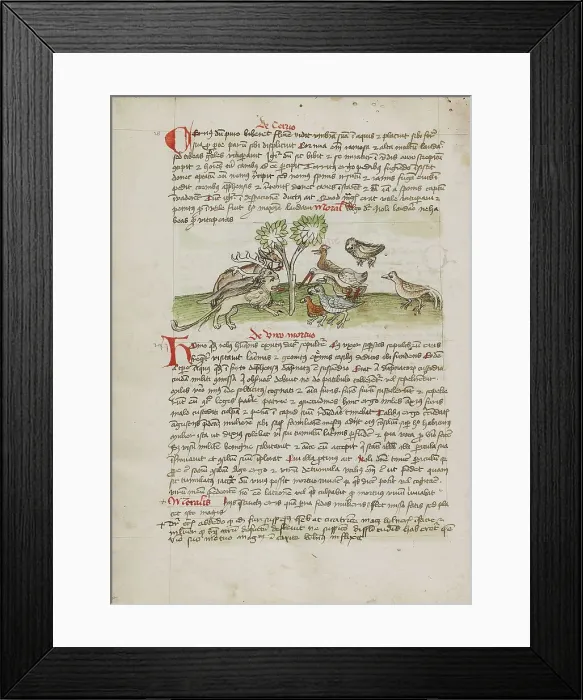 Framed Print : Animals Gathered under a Tree; Fables, third quarter of 15th century. Creator: Unknown Framed Print : Animals Gathered under a Tree; Fables, third quarter of 15th century. Creator: Unknown