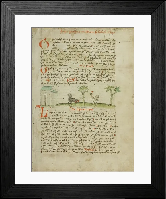 Framed Print : A Rooster Pecking at the Ground; Fables... third quarter of 15th century. Creator: Unknown Framed Print : A Rooster Pecking at the Ground; Fables... third quarter of 15th century. Creator: Unknown