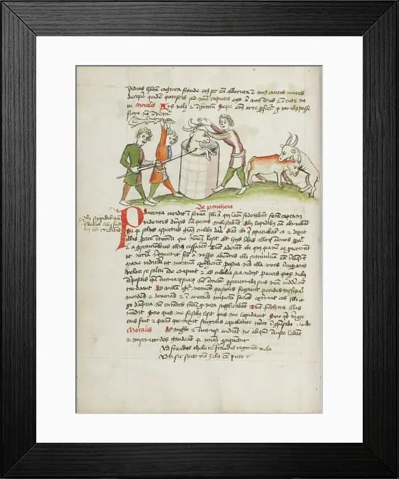 Framed Print : A Panther, Which Attacked a Cow, is Slain; Fables, third quarter of 15th century. Creator: Unknown Framed Print : A Panther, Which Attacked a Cow, is Slain; Fables, third quarter of 15th century. Creator: Unknown