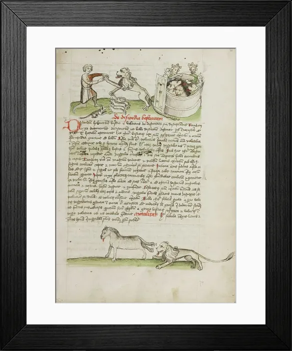 Framed Print : A Shepherd Protecting his Flock from a Lion and a Shepherd and... third quarter of 15th century. Creator: Unknown