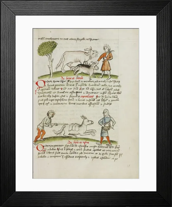 Framed Print : A Farmer with an Ox and Calf: A Man Hitting a Donkey: A Man... third quarter of 15th century. Creator: Unknown Framed Print : A Farmer with an Ox and Calf: A Man Hitting a Donkey: A Man... third quarter of 15th century. Creator: Unknown