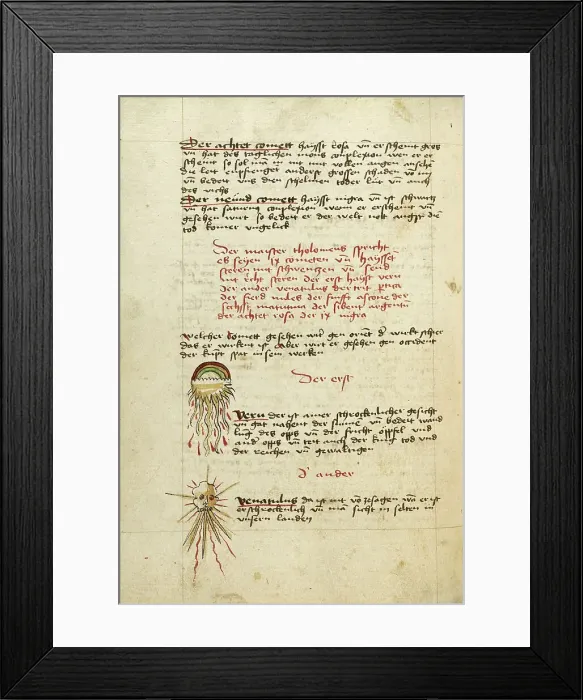 Framed Print : Comets, shortly after 1464. Creator: Unknown Framed Print : Comets, shortly after 1464. Creator: Unknown