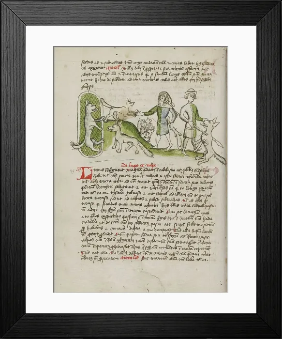 Framed Print : An Imprisoned Wolf and a Fox and Many Dogs Nearby: A Elderly... third quarter of 15th century. Creator: Unknown Framed Print : An Imprisoned Wolf and a Fox and Many Dogs Nearby: A Elderly... third quarter of 15th century. Creator: Unknown