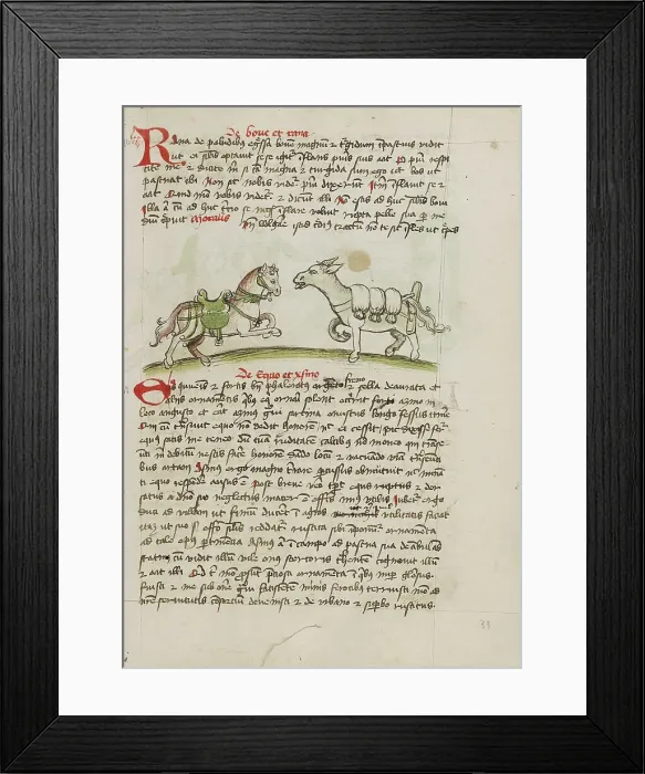 Framed Print : A Horse Laden with Sacks and a Donkey; Fables, third quarter of 15th century. Creator: Unknown Framed Print : A Horse Laden with Sacks and a Donkey; Fables, third quarter of 15th century. Creator: Unknown