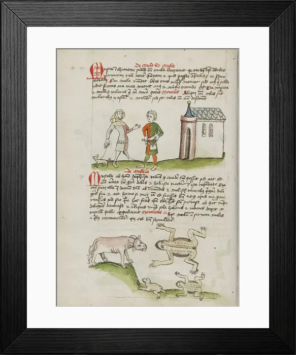 Framed Print : A Man with a Weasel on a Leash: An Ox, Frogs, and Toads; Fables, third quarter of 15th century. Creator: Unknown Framed Print : A Man with a Weasel on a Leash: An Ox, Frogs, and Toads; Fables, third quarter of 15th century. Creator: Unknown