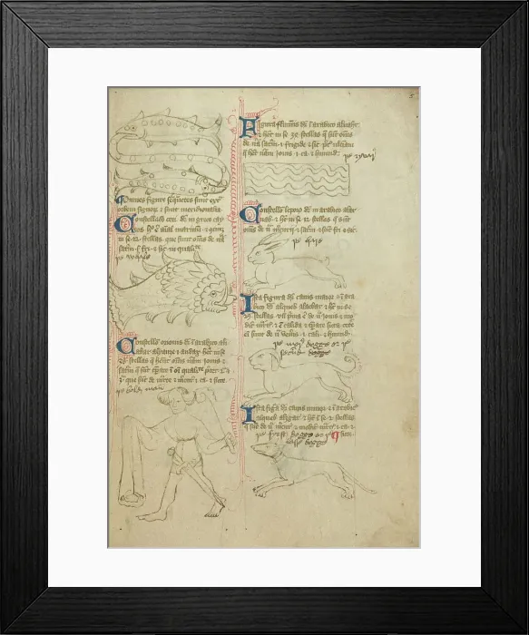 Framed Print : Constellations; Astronomical and Medical Miscellany, late 14th century, shortly after 1386. Creator: Unknown Framed Print : Constellations; Astronomical and Medical Miscellany, late 14th century, shortly after 1386. Creator: Unknown