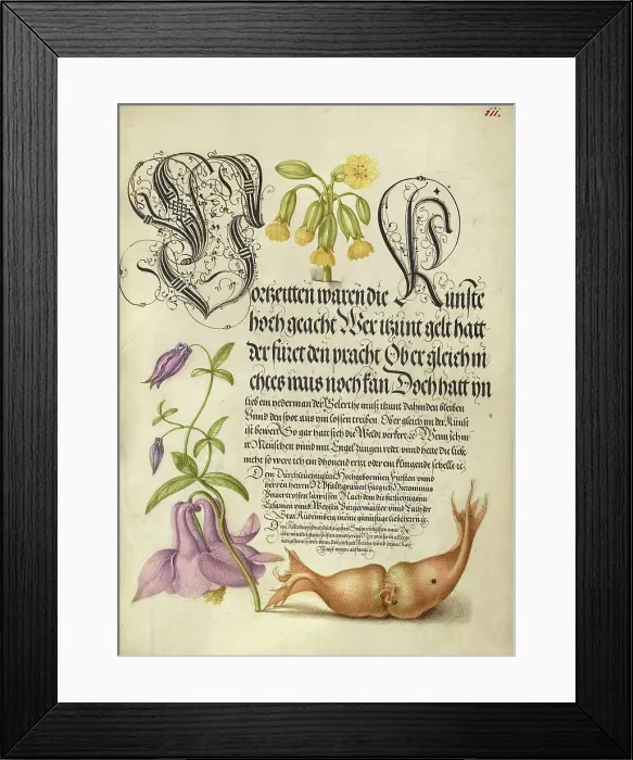 Framed Print : Cowslip, European Columbine, and Giant Filbert, 1561-1562; illumination added 1591-1596. Creator: Joris Hoefnagel Framed Print : Cowslip, European Columbine, and Giant Filbert, 1561-1562; illumination added 1591-1596. Creator: Joris Hoefnagel