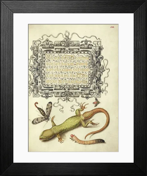 Framed Print : Scorpionfly, Insect, Lizard, and Insect Larva, 1561-1562; illumination added 1591-1596. Creator: Joris Hoefnagel Framed Print : Scorpionfly, Insect, Lizard, and Insect Larva, 1561-1562; illumination added 1591-1596. Creator: Joris Hoefnagel