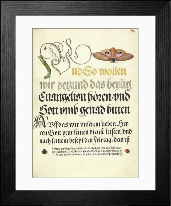 Framed Print : Horntail Caterpillar, Eyed Hawk-Moth, Beetle, Two-Spot Ladybird, 1561-1562; illumination added 1591- Creator: Joris Hoefnagel Framed Print : Horntail Caterpillar, Eyed Hawk-Moth, Beetle, Two-Spot Ladybird, 1561-1562; illumination added 1591- Creator: Joris Hoefnagel