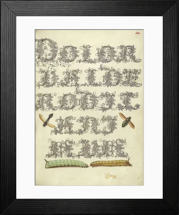 Framed Print : Potter Wasp, Hover Fly, and Caterpillars, 1561-1562; illumination added 1591-1596. Creator: Joris Hoefnagel Framed Print : Potter Wasp, Hover Fly, and Caterpillars, 1561-1562; illumination added 1591-1596. Creator: Joris Hoefnagel