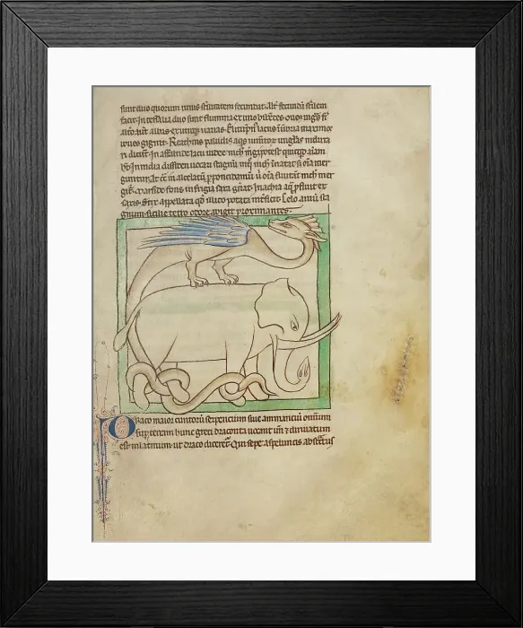 Framed Print : A Dragon; Northumberland Bestiary, about 1250-1260. Creator: Unknown Framed Print : A Dragon; Northumberland Bestiary, about 1250-1260. Creator: Unknown