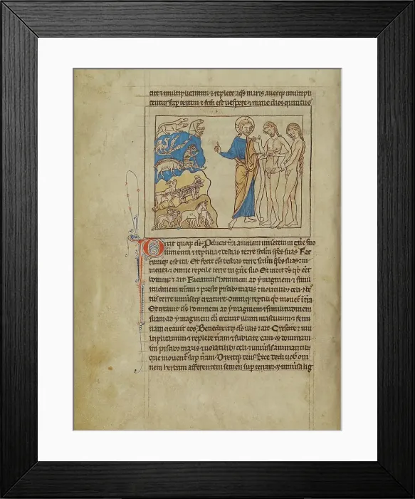 Framed Print : The Creation of the Animals and of Adam and Eve; Northumberland Bestiary, about 1250-1260. Creator: Unknown Framed Print : The Creation of the Animals and of Adam and Eve; Northumberland Bestiary, about 1250-1260. Creator: Unknown