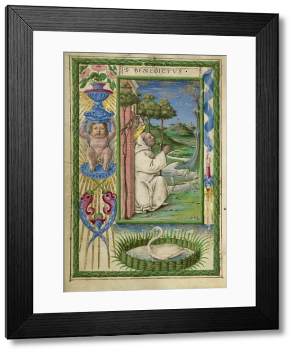 Framed Print : Saint Benedict in Prayer; Gualenghi-d'Este Hours, about 1469. Creator: Taddeo Crivelli Framed Print : Saint Benedict in Prayer; Gualenghi-d'Este Hours, about 1469. Creator: Taddeo Crivelli