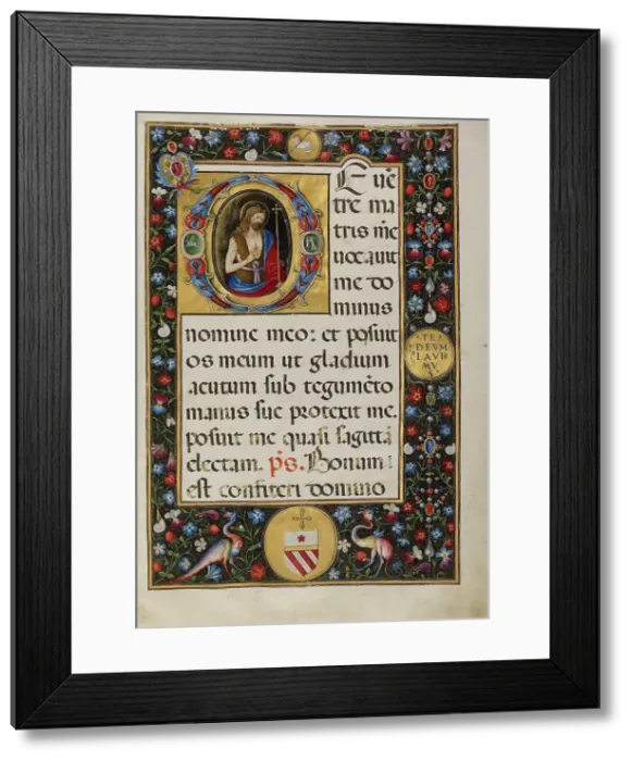 Framed Print : Initial D: Saint John the Baptist, about 1520. Creator: Matteo da Milano Framed Print : Initial D: Saint John the Baptist, about 1520. Creator: Matteo da Milano