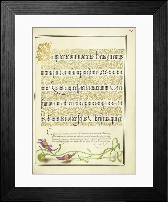 Framed Print : Toadflax; Mira calligraphiae monumenta, 1561-1562; illumination added 1591-1596. Creator: Joris Hoefnagel Framed Print : Toadflax; Mira calligraphiae monumenta, 1561-1562; illumination added 1591-1596. Creator: Joris Hoefnagel