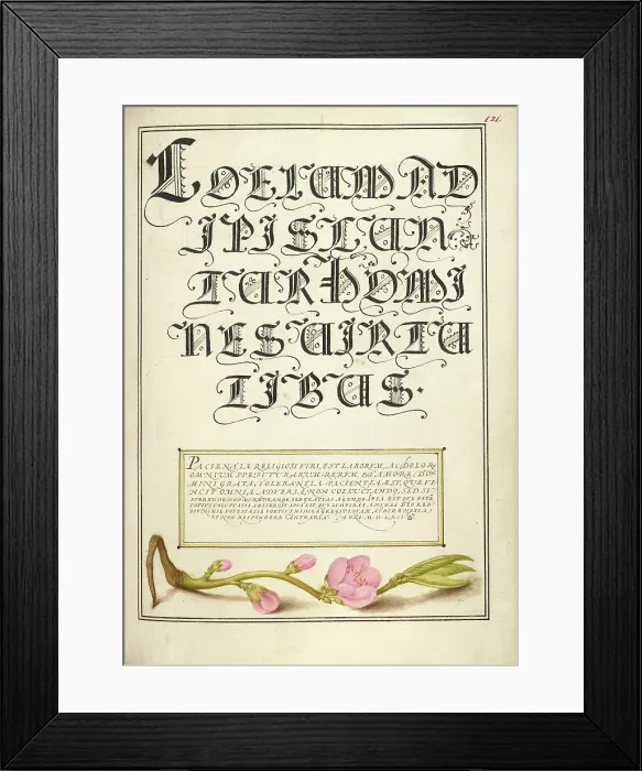 Framed Print : Almond in Flower; Mira calligraphiae monumenta, 1561-1562; illumination added 1591-1596. Creator: Joris Hoefnagel Framed Print : Almond in Flower; Mira calligraphiae monumenta, 1561-1562; illumination added 1591-1596. Creator: Joris Hoefnagel
