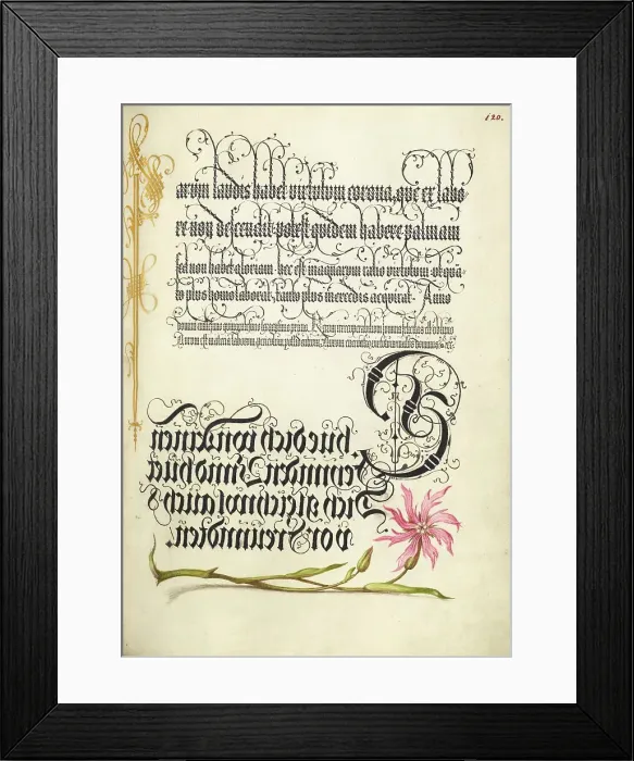 Framed Print : Cuckoo Flower; Mira calligraphiae monumenta, 1561-1562; illumination added 1591-1596. Creator: Joris Hoefnagel Framed Print : Cuckoo Flower; Mira calligraphiae monumenta, 1561-1562; illumination added 1591-1596. Creator: Joris Hoefnagel