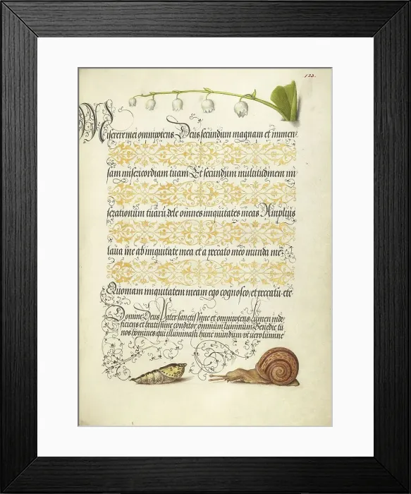 Framed Print : Lily-of-the-Valley, Pupa, and Land Snail, 1561-1562; illumination added 1591-1596. Creator: Joris Hoefnagel Framed Print : Lily-of-the-Valley, Pupa, and Land Snail, 1561-1562; illumination added 1591-1596. Creator: Joris Hoefnagel