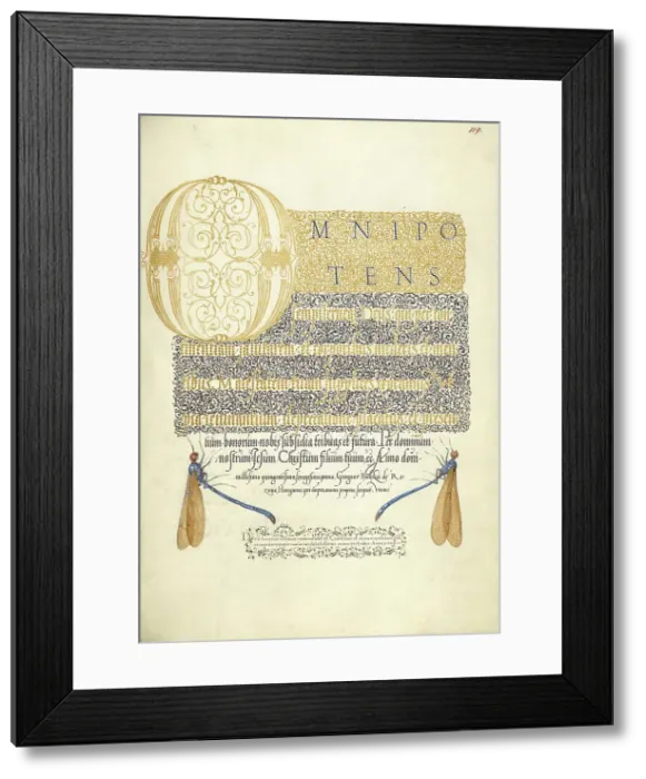 Framed Print : Damselflies; Mira calligraphiae monumenta, 1561-1562; illumination added 1591-1596. Creator: Joris Hoefnagel Framed Print : Damselflies; Mira calligraphiae monumenta, 1561-1562; illumination added 1591-1596. Creator: Joris Hoefnagel