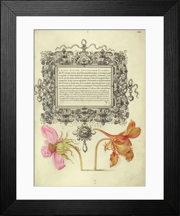 Framed Print : French Rose and Dwarf Nasturtium, 1561-1562; illumination added 1591-1596. Creator: Joris Hoefnagel Framed Print : French Rose and Dwarf Nasturtium, 1561-1562; illumination added 1591-1596. Creator: Joris Hoefnagel