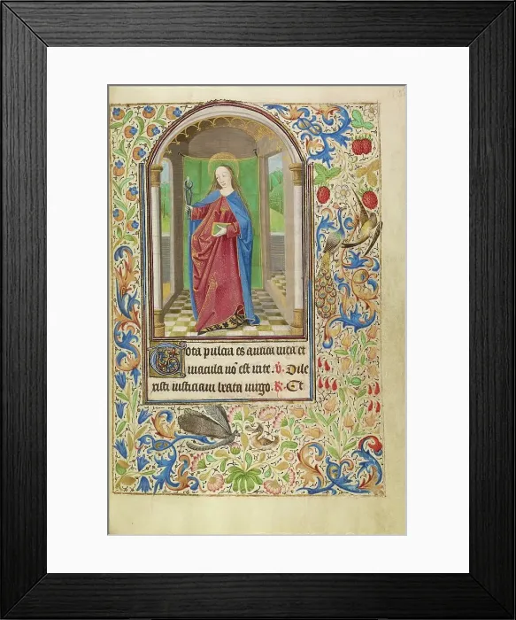 Framed Print : Saint Apollonia with a Book and Tongs; Book of Hours, about 1466-1470. Creator: Master of Jacques of Luxembourg Framed Print : Saint Apollonia with a Book and Tongs; Book of Hours, about 1466-1470. Creator: Master of Jacques of Luxembourg