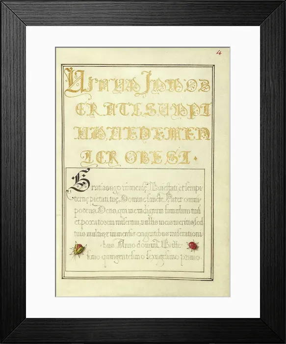 Framed Print : Beetlelike Insects; Mira calligraphiae monumenta, 1561-1562; illumination added 1591-1596. Creator: Joris Hoefnagel Framed Print : Beetlelike Insects; Mira calligraphiae monumenta, 1561-1562; illumination added 1591-1596. Creator: Joris Hoefnagel