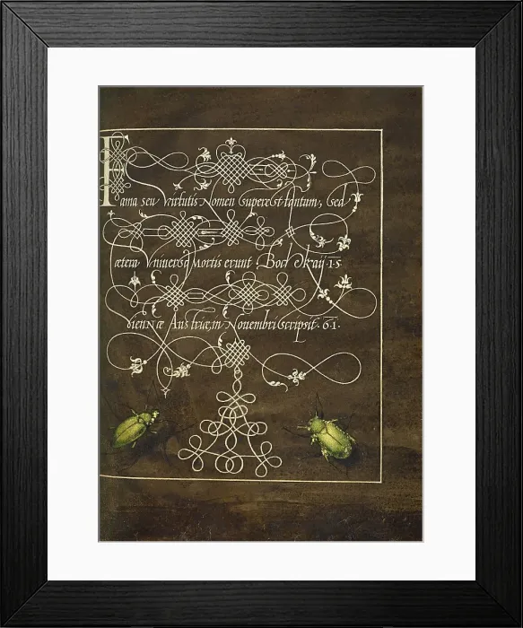 Framed Print : Ground Beetle and Scarab; Mira calligraphiae monumenta, 1561-1562; illumination added 1591-1596. Creator: Joris Hoefnagel Framed Print : Ground Beetle and Scarab; Mira calligraphiae monumenta, 1561-1562; illumination added 1591-1596. Creator: Joris Hoefnagel