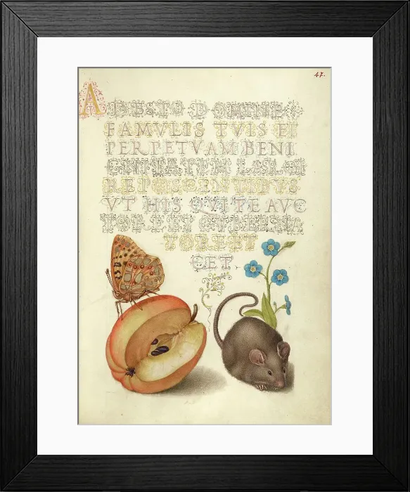Framed Print : Queen of Spain Fritillary, Apple, Mouse, and Creeping Forget... 1561-2; illumination added 1591-6. Creator: Joris Hoefnagel Framed Print : Queen of Spain Fritillary, Apple, Mouse, and Creeping Forget... 1561-2; illumination added 1591-6. Creator: Joris Hoefnagel