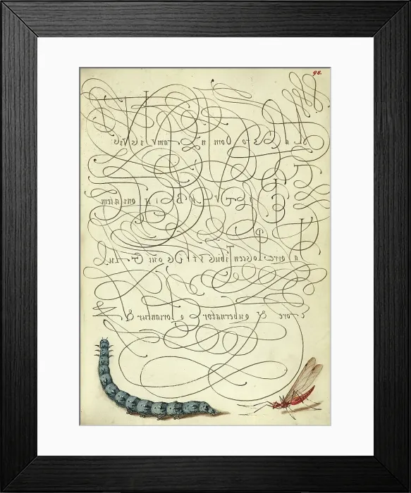 Framed Print : Caterpillar and Insect; Mira calligraphiae monumenta, 1561-1562; illumination added 1591-1596. Creator: Joris Hoefnagel Framed Print : Caterpillar and Insect; Mira calligraphiae monumenta, 1561-1562; illumination added 1591-1596. Creator: Joris Hoefnagel