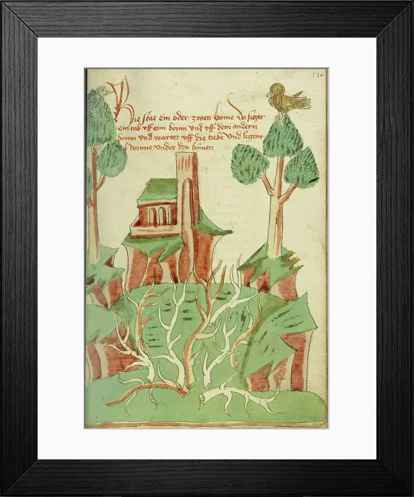 Framed Print : A Landscape with Trees, Thorn Bushes, and a Dove; Barlaam und Josaphat, 1469. Creators: Hans Schilling, Diebolt Lauber Framed Print : A Landscape with Trees, Thorn Bushes, and a Dove; Barlaam und Josaphat, 1469. Creators: Hans Schilling, Diebolt Lauber
