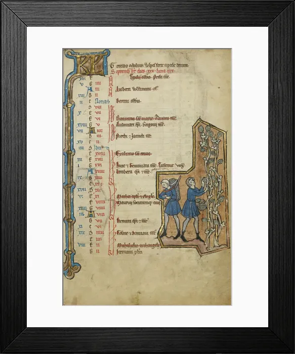 Framed Print : September Calendar Page; Harvesting Grapes; Psalter, mid-1200s. Creator: Unknown
