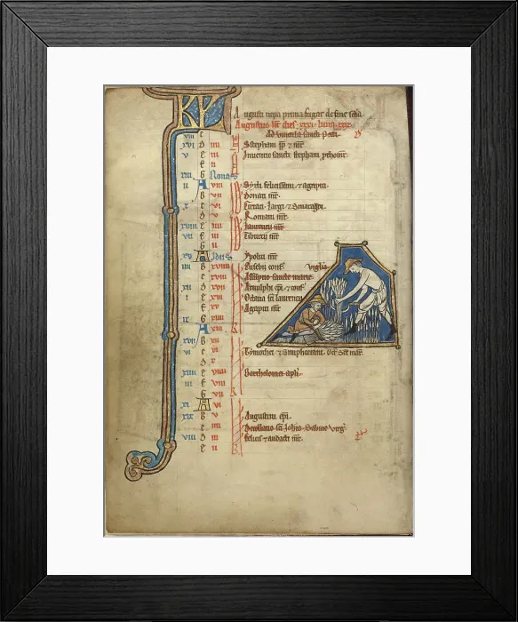 Framed Print : August Calendar Page; Reaping; Psalter, mid-1200s. Creator: Unknown Framed Print : August Calendar Page; Reaping; Psalter, mid-1200s. Creator: Unknown