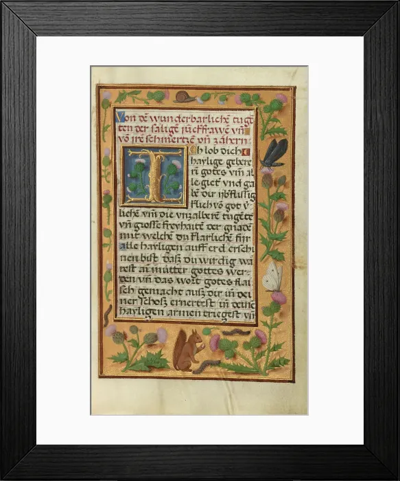 Framed Print : Decorated Text Page; Prayer Book of Cardinal Albrecht of Brandenburg, about 1525-1530. Creator: Unknown Framed Print : Decorated Text Page; Prayer Book of Cardinal Albrecht of Brandenburg, about 1525-1530. Creator: Unknown