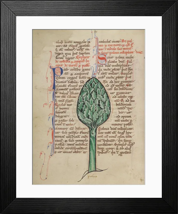 Framed Print : A Palm Tree; Bestiary, about 1270. Creator: Unknown Framed Print : A Palm Tree; Bestiary, about 1270. Creator: Unknown