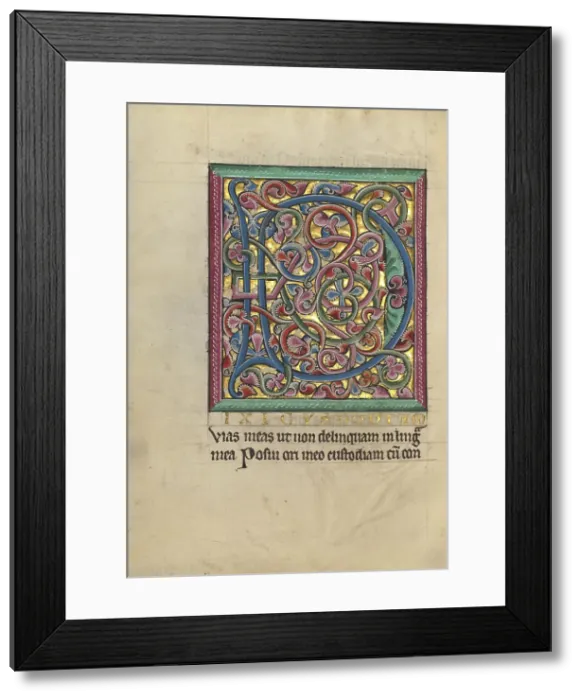 Framed Print : Decorated Initial D; Psalter, about 1240-1250. Creator: Unknown Framed Print : Decorated Initial D; Psalter, about 1240-1250. Creator: Unknown